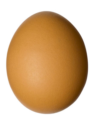 brown egg