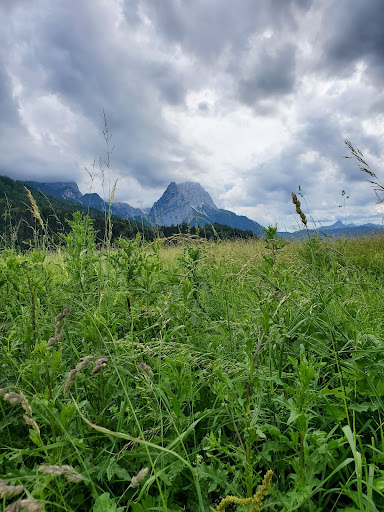 Garmisch, Bavaria Photograph by Sarah Goul        